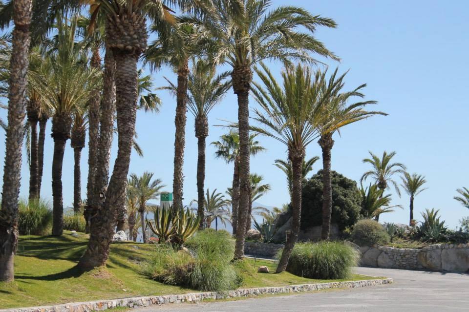 Coral Paradise Apartment With Swimming Pool La Herradura  Buitenkant foto